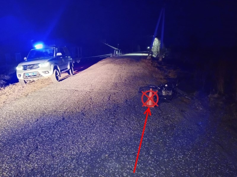 В Усть-Вымском районе водитель мопеда получил тяжелые травмы после наезда на собаку