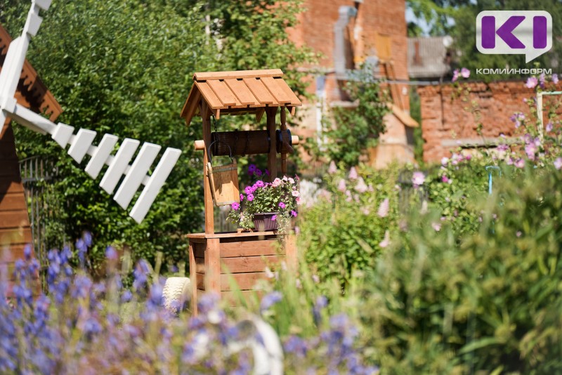 В Роскачестве напомнили дачникам об ответственности за выращивание ряда растений и грибов