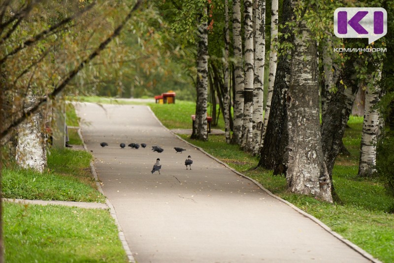 В Эжве продолжат благоустраивать парк по ул.Мира в рамках "Народного бюджета"