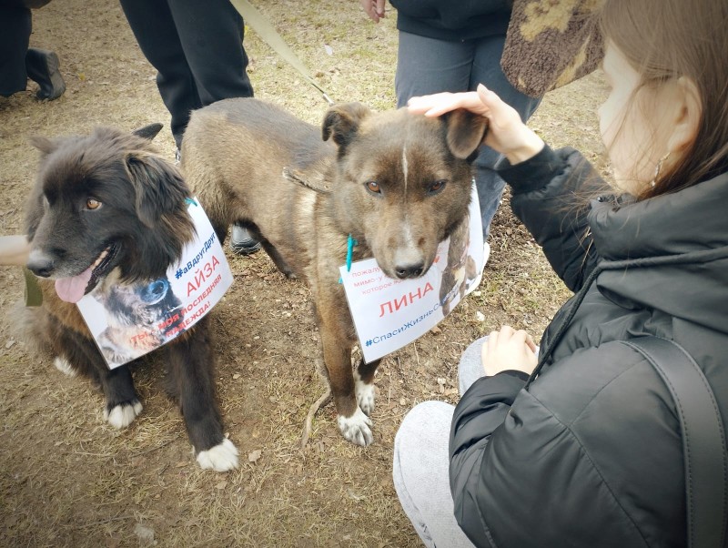 Региональный оператор Севера продолжает проводить эковыходные в Коми
