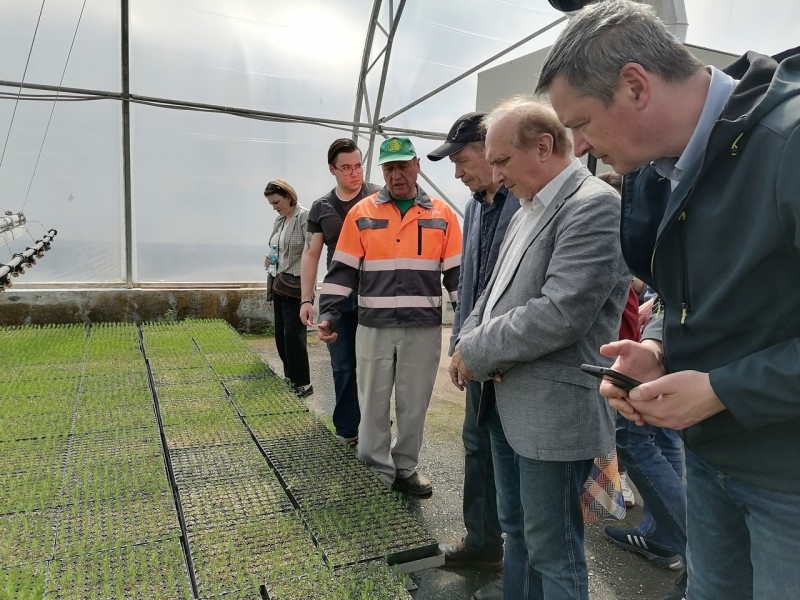 Коми приглашает лидеров лесопромышленного комплекса на форум национальной лесной сертификации