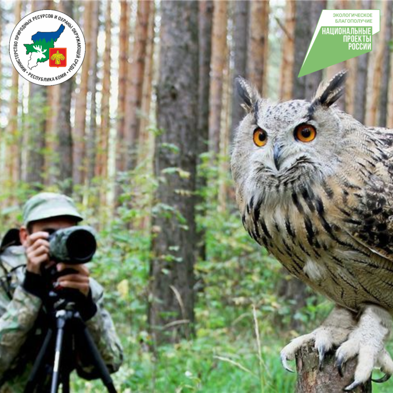 В Коми продолжается прием заявок на Межрегиональный конкурс "Фотоохота на заповедных территориях"