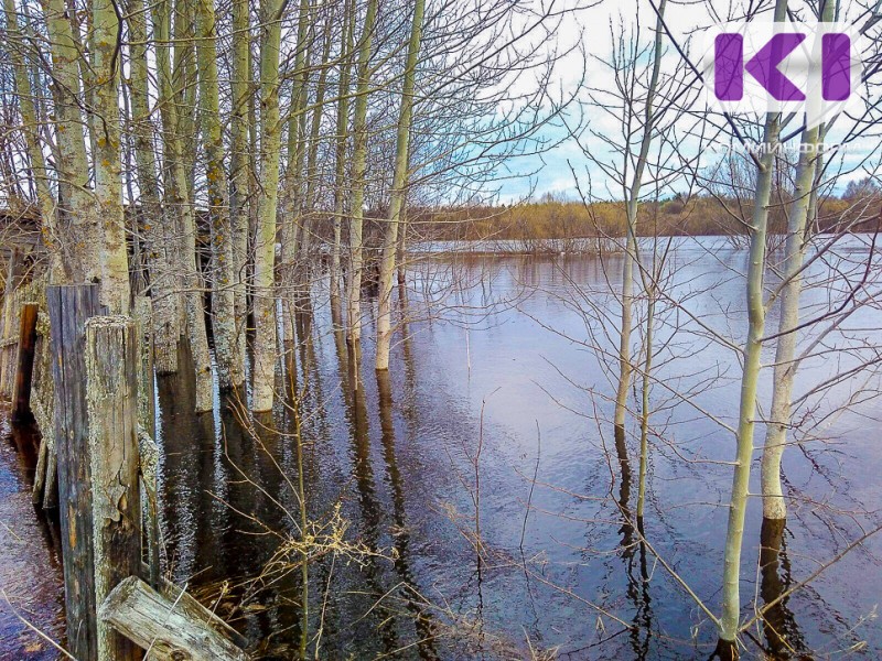 Первый пик половодья на реке Ижме ожидается 12-13 мая 