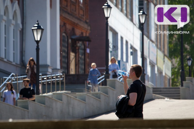 Погода в Коми 14 мая: лето близко