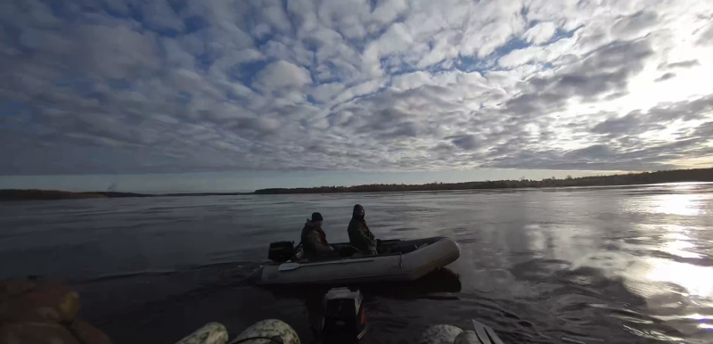 Минприроды Коми выявило нарушения в заказнике "Белоборский"