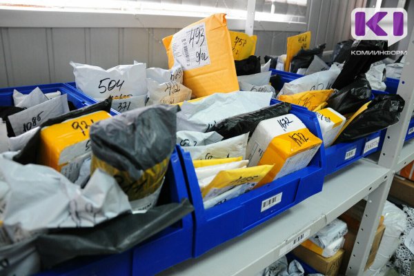 В Сыктывкаре две женщины обвиняются в хищении товаров у популярного маркетплейса