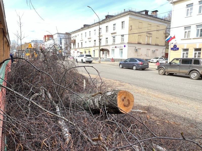 Администрация Сыктывкара объяснила причину вырубки деревьев на ул.Орджоникидзе