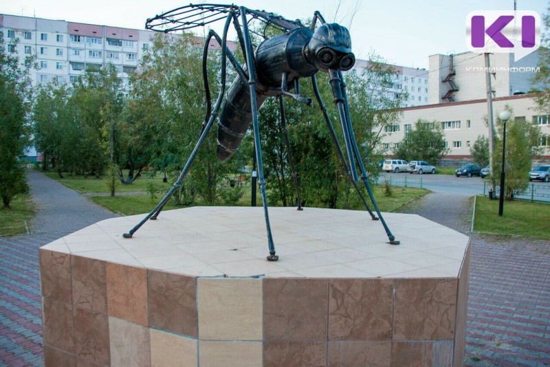 Усинцы выбирают объекты для благоустройства на 2026 год