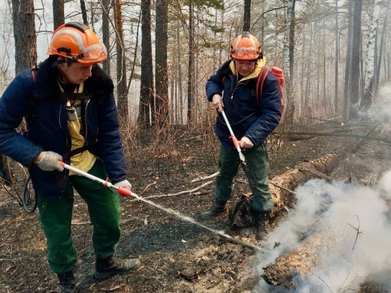 Более 500 тысяч гектаров в огне: как пожарные из Коми помогают Забайкалью в борьбе с огненной стихией