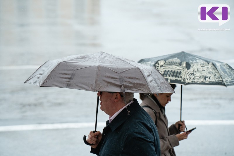 Погода в Коми 16 мая: дождливо и ветрено 