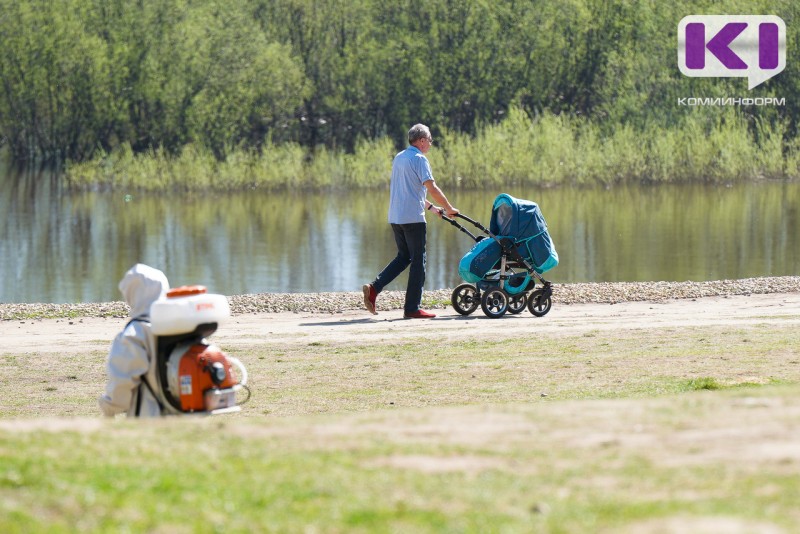 Энцефалит, бореллиоз и эрлихиоз: в лабораториях Коми выявили инфицированных клещей