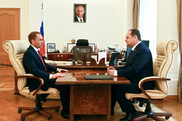 Ростислав Гольдштейн и министр природных ресурсов России обсудили противопожарную безопасность населенных пунктов