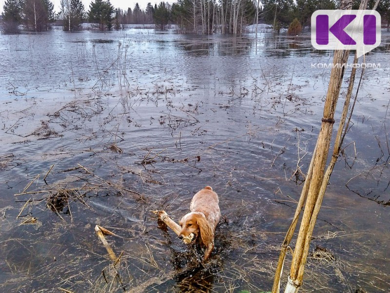 В Троицко-Печорском районе вода вышла на пойму