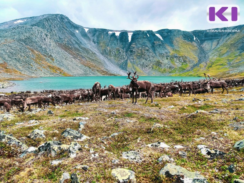 В Коми составят перечень лучших документальных фильмов о регионе для школьников
