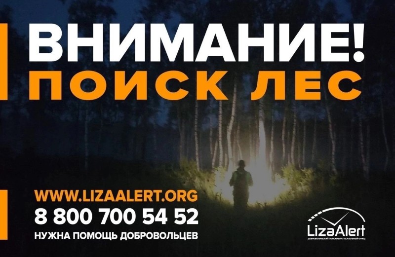 Волонтеры "Лиза Алерт" обнаружили потерявшегося в Ухте ребенка 