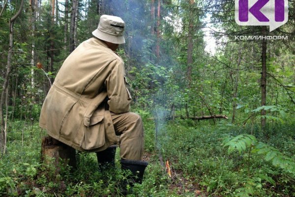 Лесник из Коми получил 7 лет за 