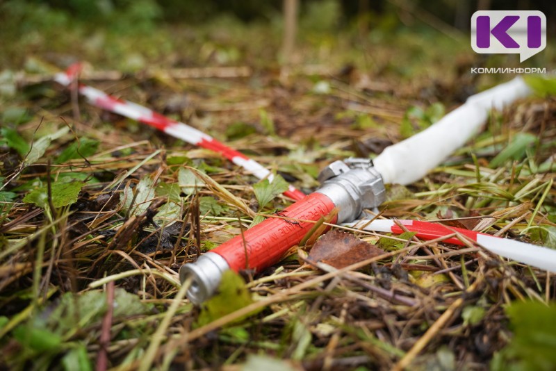 В Сыктывкаре с начала мая произошло два ландшафтных пожара