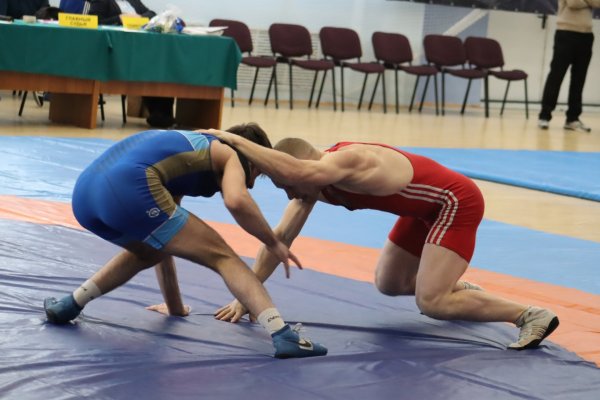 Более 40 спортсменов примут участие в первенстве СЗФО по вольной борьбе в Сыктывкаре