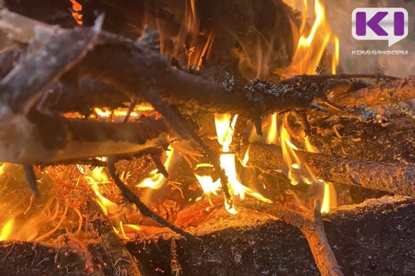 В южных районах Коми ожидается высокая пожароопасность 