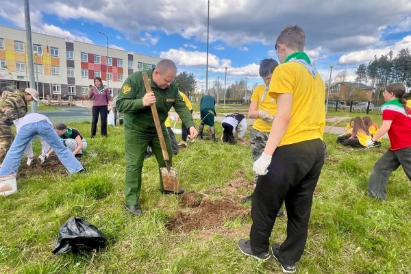 В поселке Краснозатонский высадили Аллею Памяти в честь героев Великой Отечественной войны