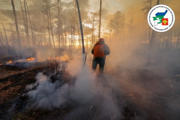 В лесах Коми установлен IV класс пожарной опасности