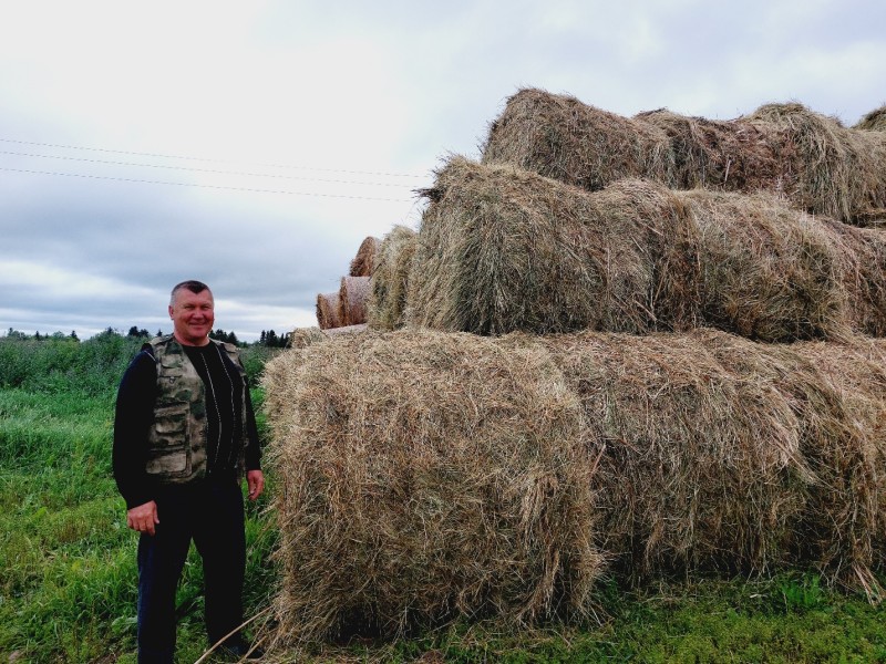 Благодаря грантам на развитие семейных ферм хозяйство Виктора Томилова стало одним из крупнейших в Усть-Цилемском районе

