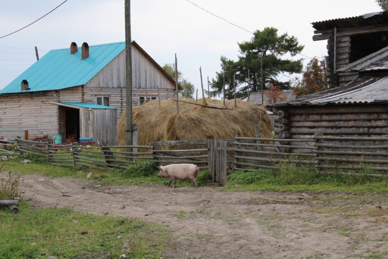 В Коми утвердили обновленный перечень труднодоступных, малочисленных или отдаленных населенных пунктов
