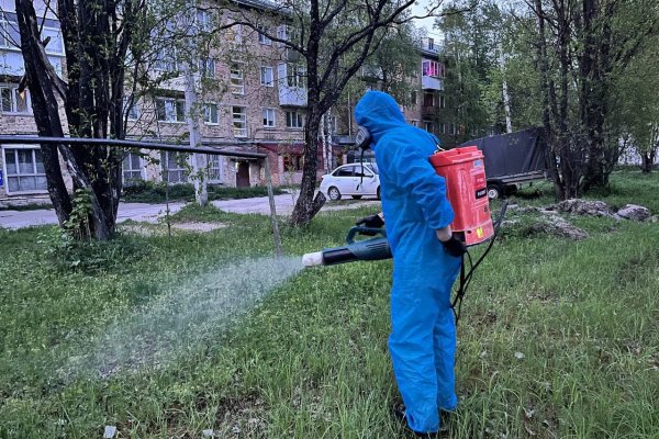 В Эжве от клещей обработали 15 общественных территорий
