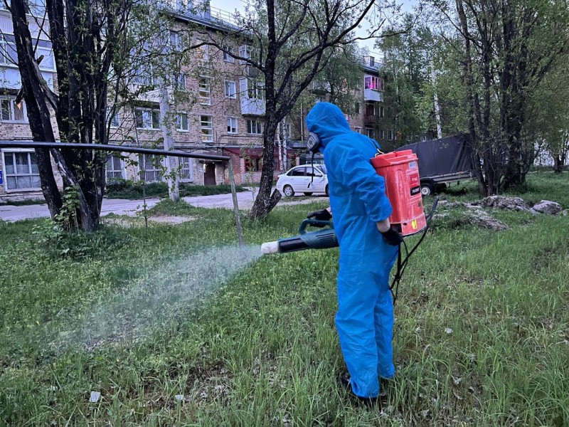 В Эжве от клещей обработали 15 общественных территорий