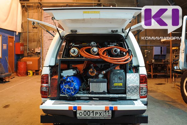 В Троицко-Печорске дети вызвали спасателей на помощь собаке 