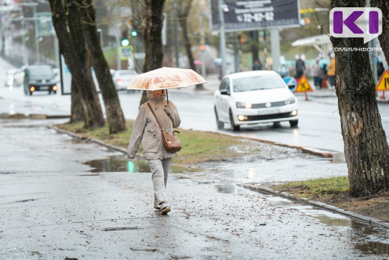 С началом календарного лета в Коми придет прохлада