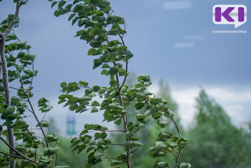 В ближайшие несколько часов в Коми ожидаются грозы, ливень, град и штормовой ветер