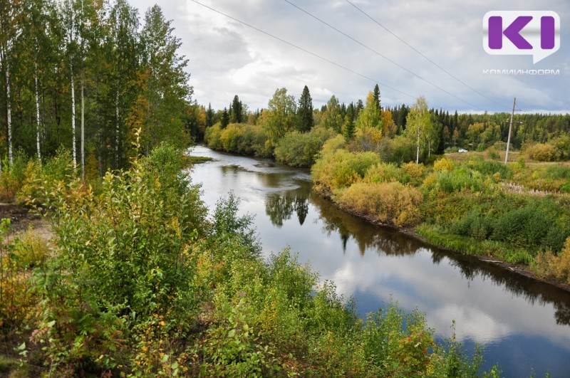 В Койгородском районе обнаружено тело пропавшего весной мужчины 