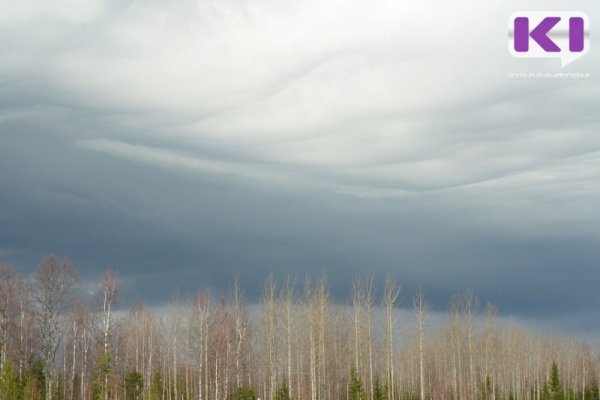 May in Komi will be cool and rainy