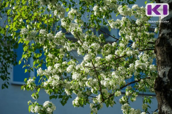 Komi weather forecasters spoke about the weather in June