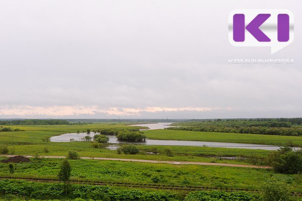 Погода в Коми 5 июня: в северных районах без существенных осадков, на крайнем юге местами гроза