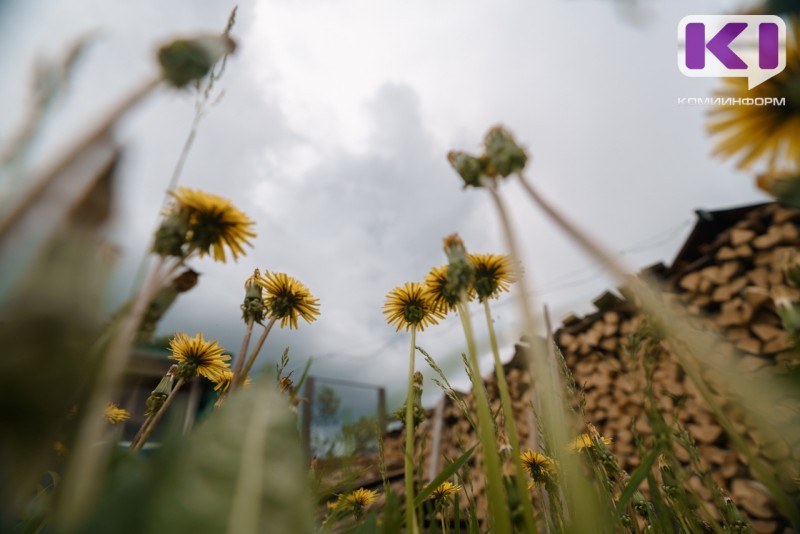 В Коми за минувшую неделю за медпомощью из-за укусов клещей обратилось 720 человек