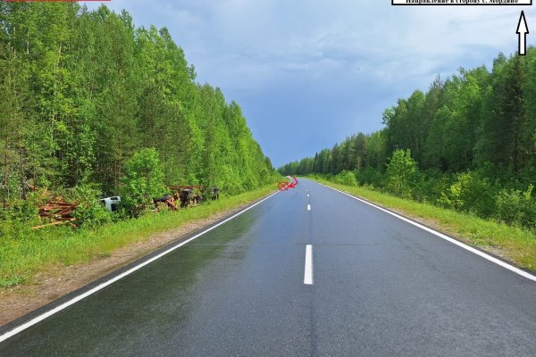 В Корткеросском районе водитель большегруза пострадал после съезда машины в кювет  