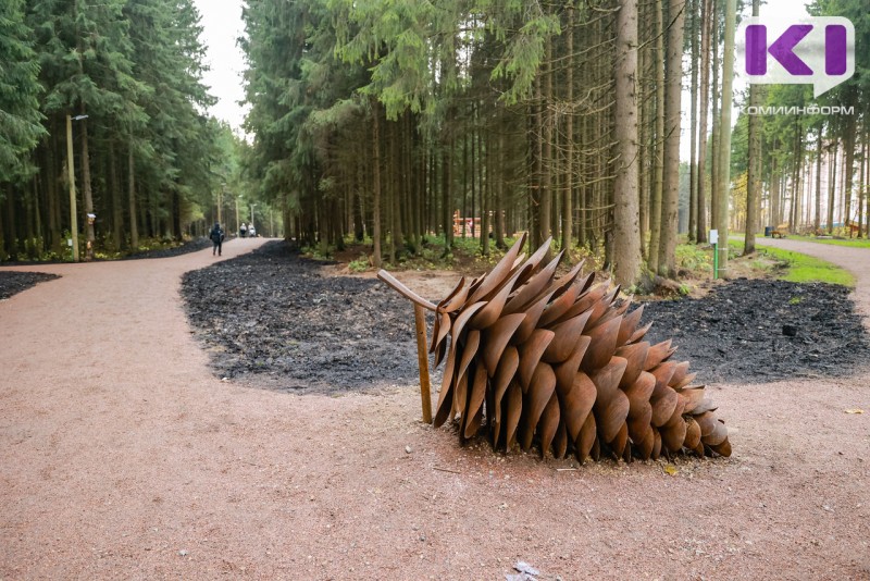 Ростислав Гольдштейн призвал в кратчайшие сроки решить проблему заболачивания общественных пространств в Коми
