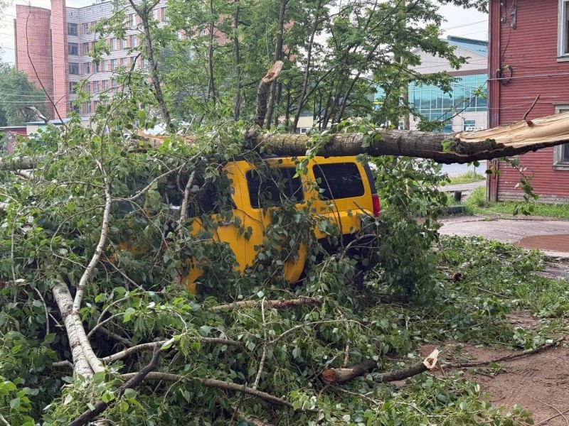 Поваленные деревья и затопленные улицы: как Сыктывкар пережил удар стихии
