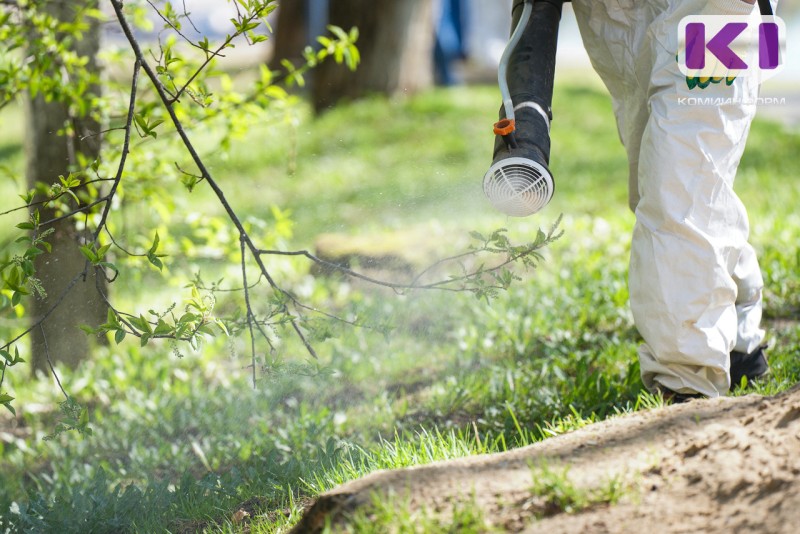 В Коми начало снижаться количество обратившихся за медпомощью из-за укусов клещей