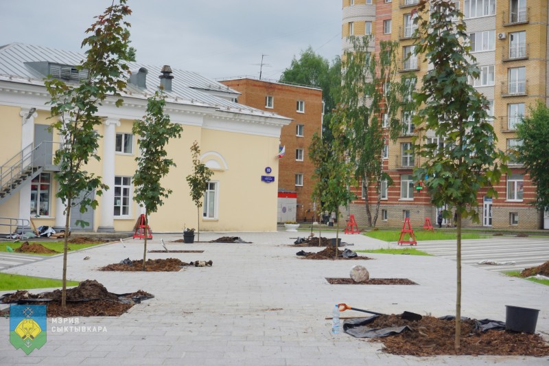 В новом сквере у Центра досуга и кино "Октябрь" в Сыктывкаре начались работы по озеленению
