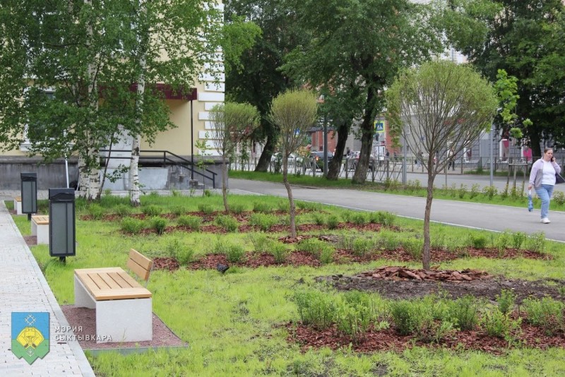 В сквере у Дворца творчества детей и учащейся молодёжи высадили ивы, ели и клены