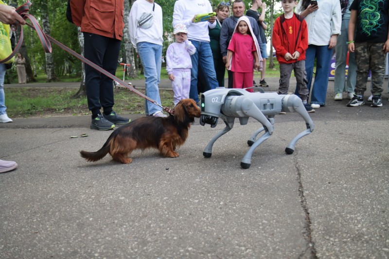 На фестивале "СтарТуй-2025" участники получат путевку на финал международного конкурса и дорогу в профессию

