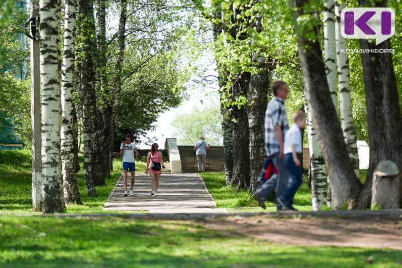 Погода в Коми 14 июня: в южных районах гроза и порывистый ветер до 14 м/с