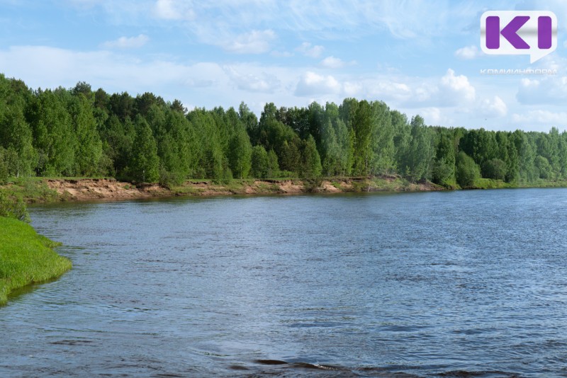 В Сыктывкаре утонула женщина
