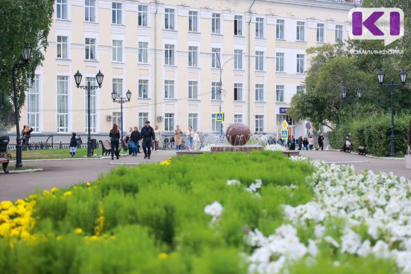 Погода в Коми 15 июня: небольшой дождь, местами гроза