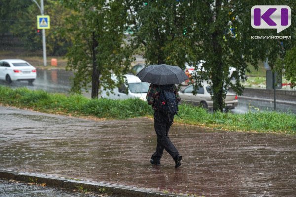 Погода в Коми 16 июня: местами небольшой дождь, гроза, +17...+22°С