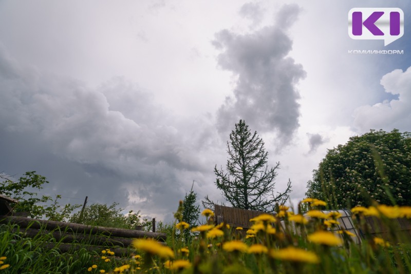 Погода в Коми 18 июня: порывистый ветер, +12...+17°С