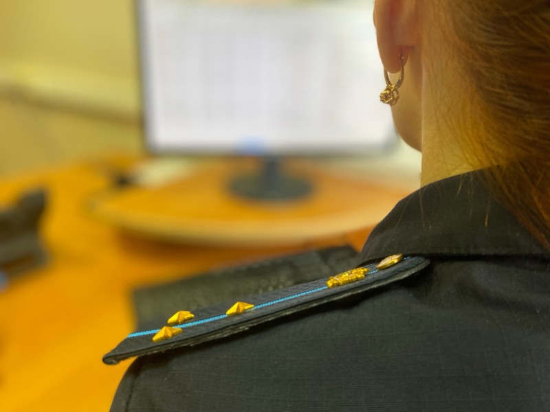 В Инте устроители собачьего приюта вернули в бюджет присвоенную субсидию